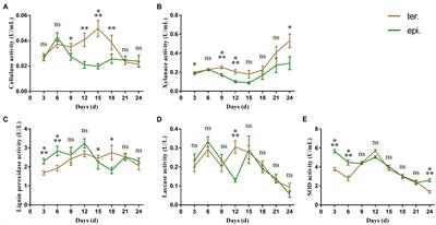 Extracellular Enzyme Activities and Carbon/Nitrogen Utilization in Mycorrhizal Fungi Isolated From Epiphytic and Terrestrial Orchids